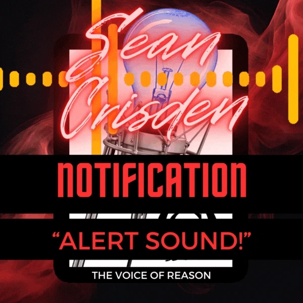 Audio Notification - Alert Sound product image (1)