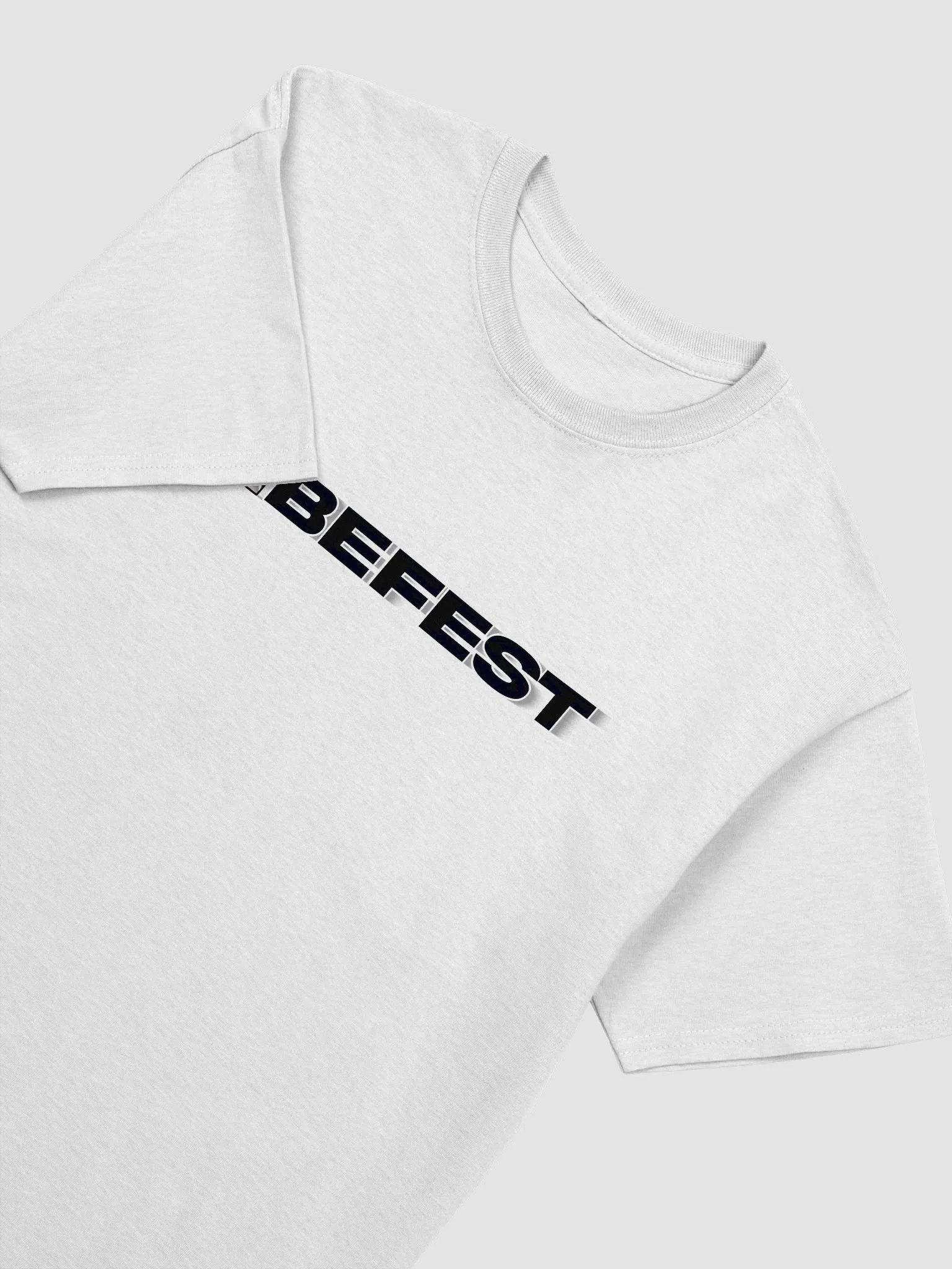 VIBEFEST VOL VI TEE (WHITE) product image (3)