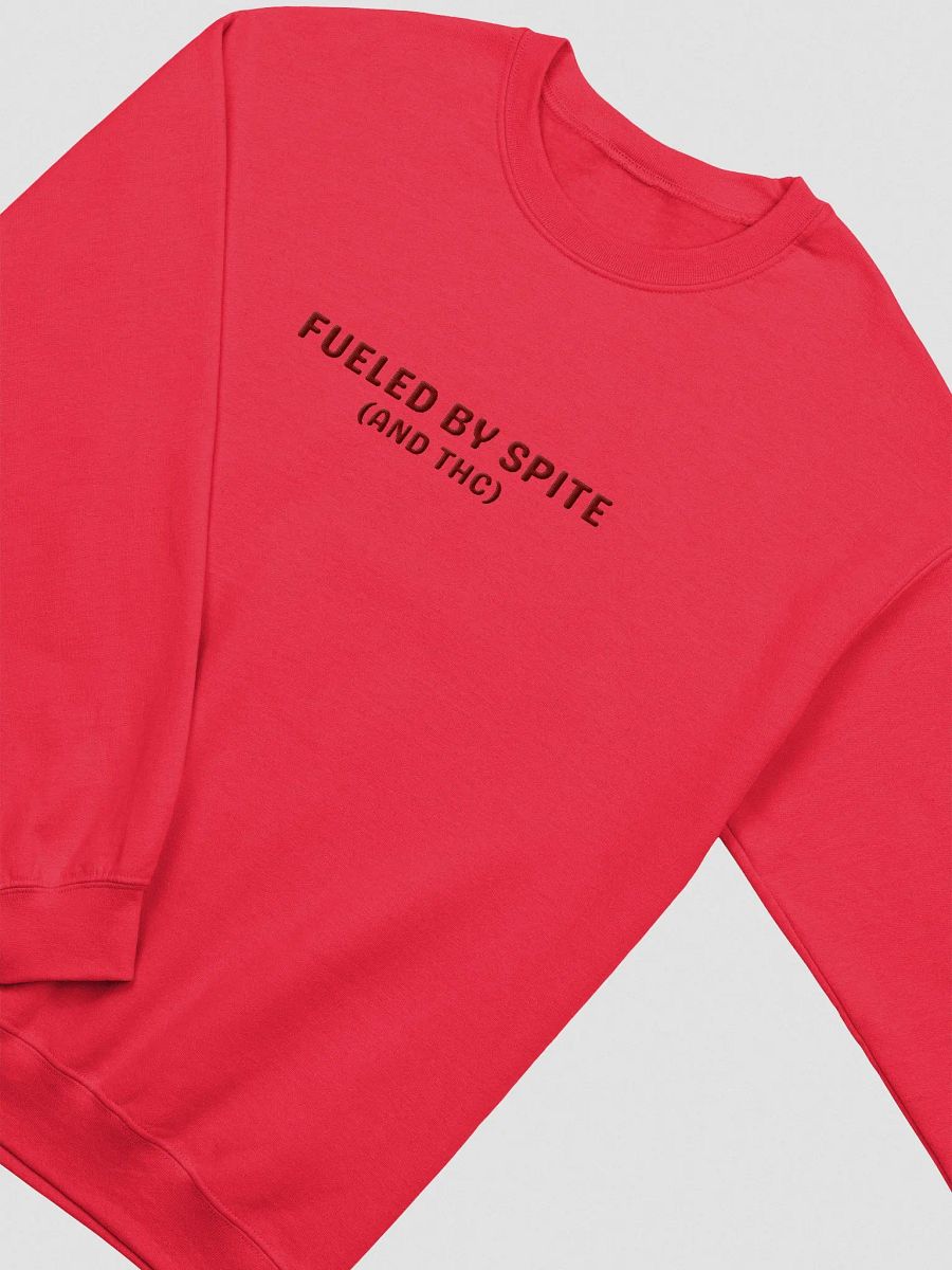 FUELED BY SPITE (maroon thread) embroidered classic crewneck product image (6)