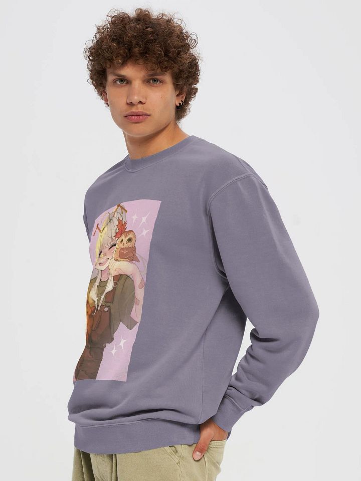 Northern Saw-whet Owl Midweight Pigment Dyed Sweater product image (13)