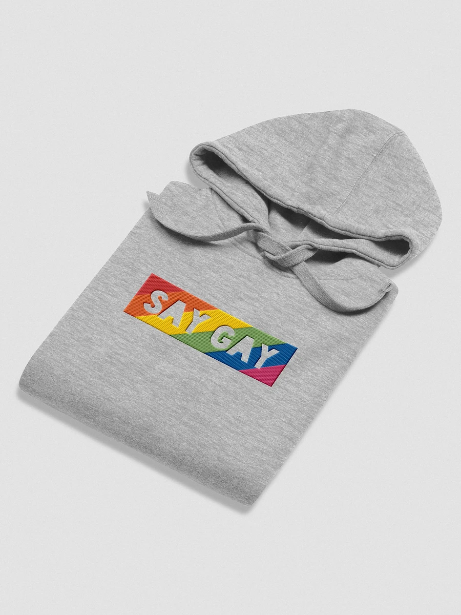 Say Gay #2 - Embroidered Hoodie product image (4)