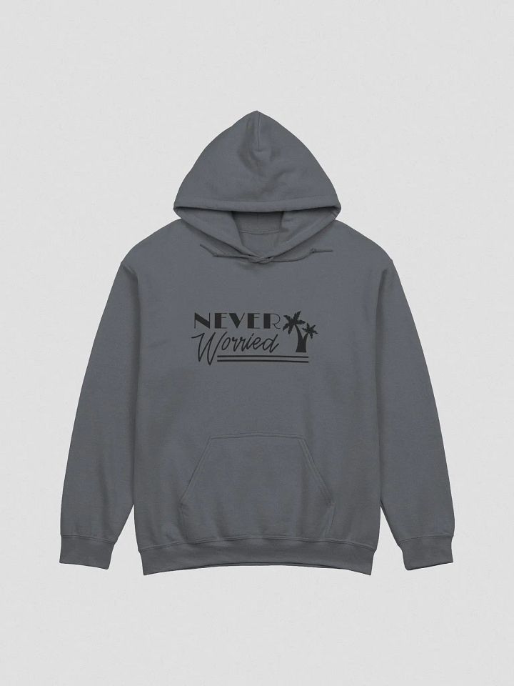 Never Worried Gildan Hoodie product image (5)