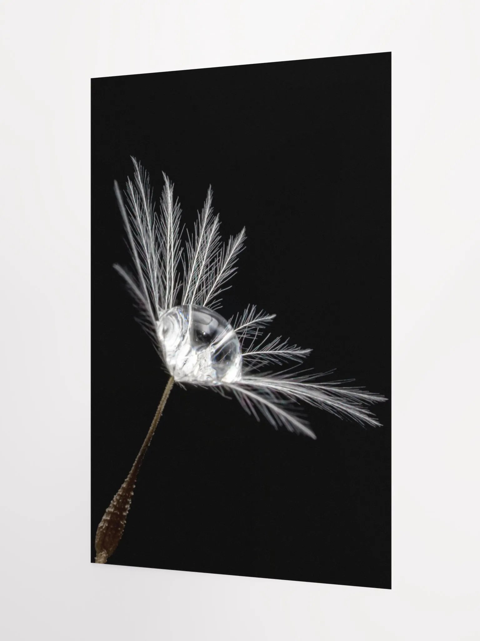 Delicate Strength Poster product image (7)
