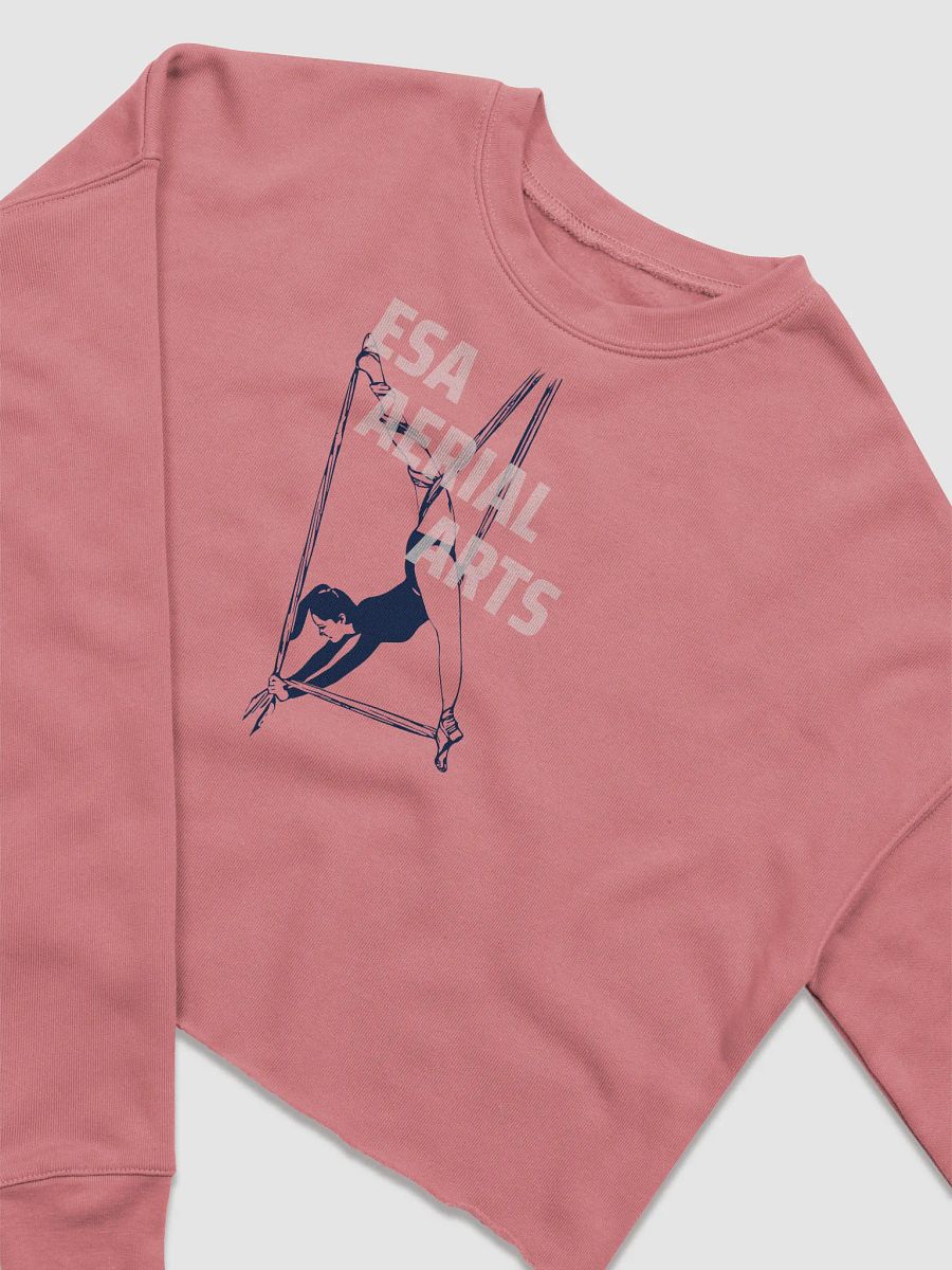 ESA Aerial Silhouette Women's Crop Sweatshirt product image (3)