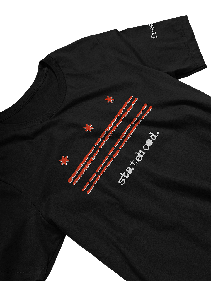 statehood tee product image (2)