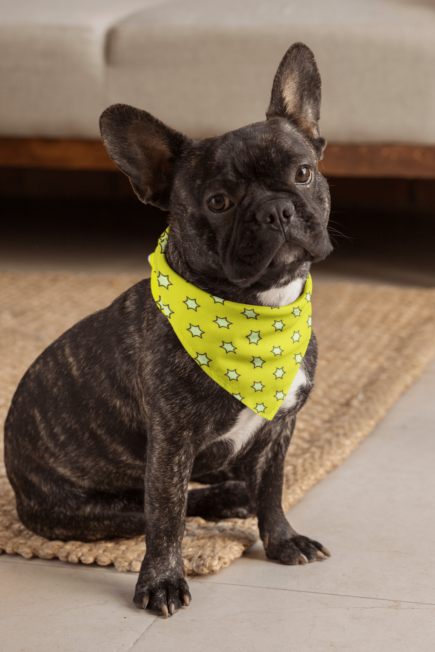 Pet's yellow star print bandana product image (4)