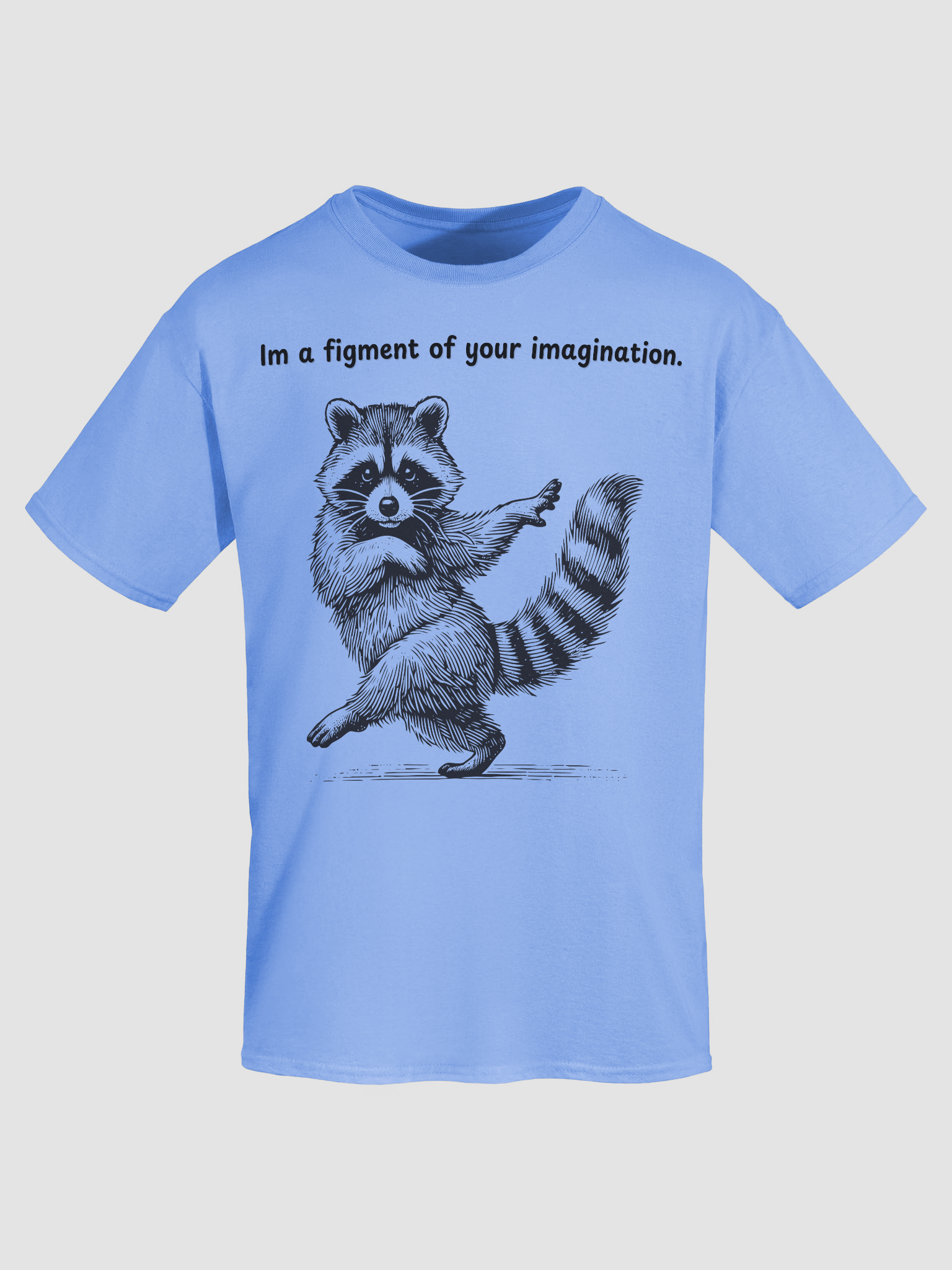 Raccoon Dance Party T-Shirt product image (38)