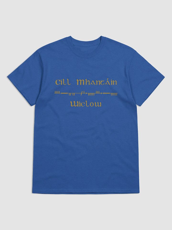 Wicklow/Cill Mhantáin Scholastic style Ogham Blue printed T-shirt product image (1)