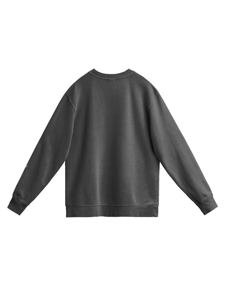 Majestic Wings Vintage Sweatshirt product image (11)