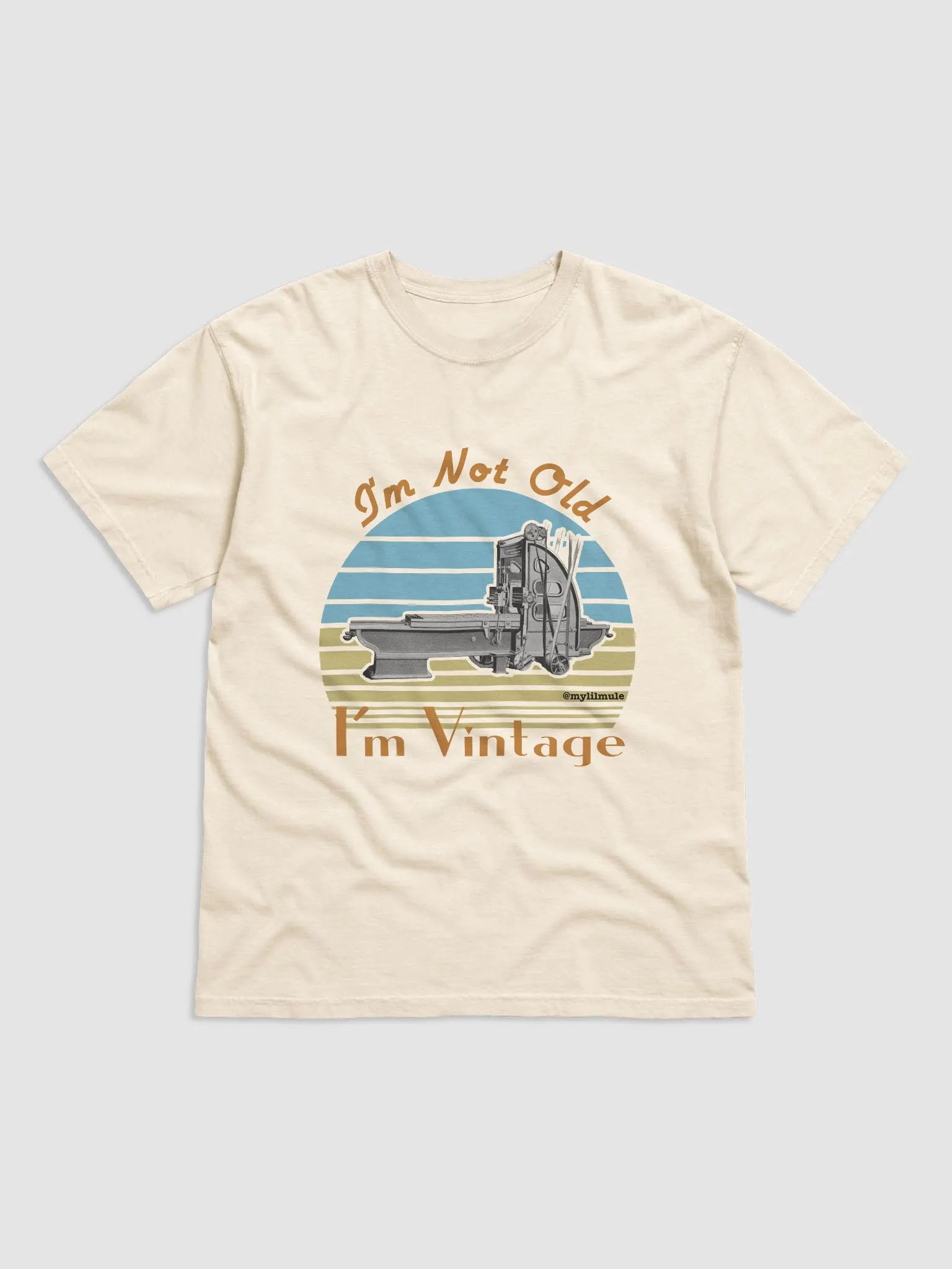 Heavyweight T-Shirt (Planer) product image (1)