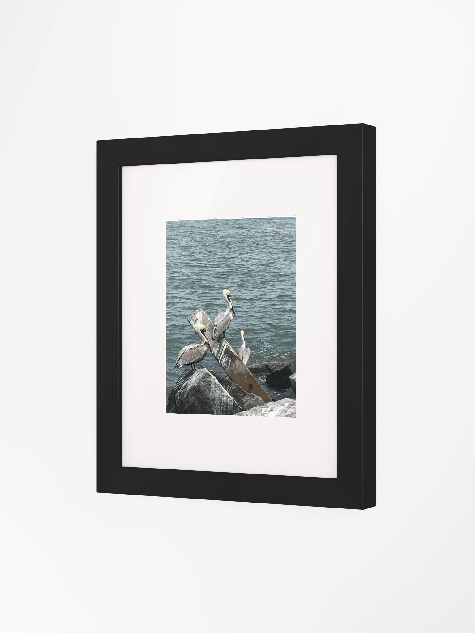 Coastal Avian Symphony Framed Poster product image (22)