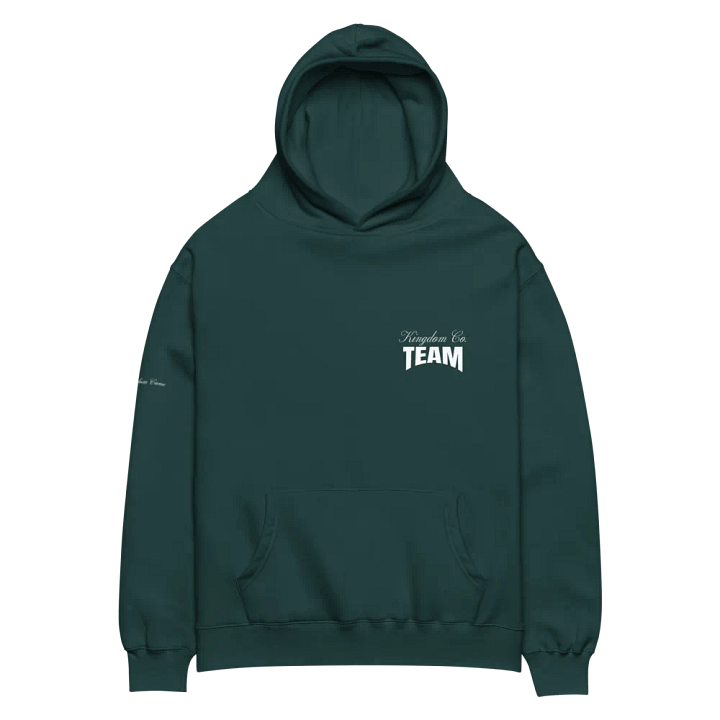 Building the Kingdom Team Hoodie (Premium Oversized) product image (2)