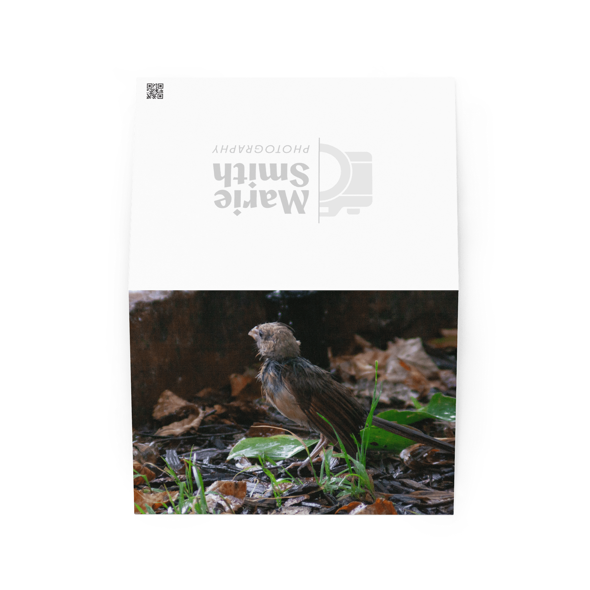 Rainy Day Bird Greeting Card product image (2)