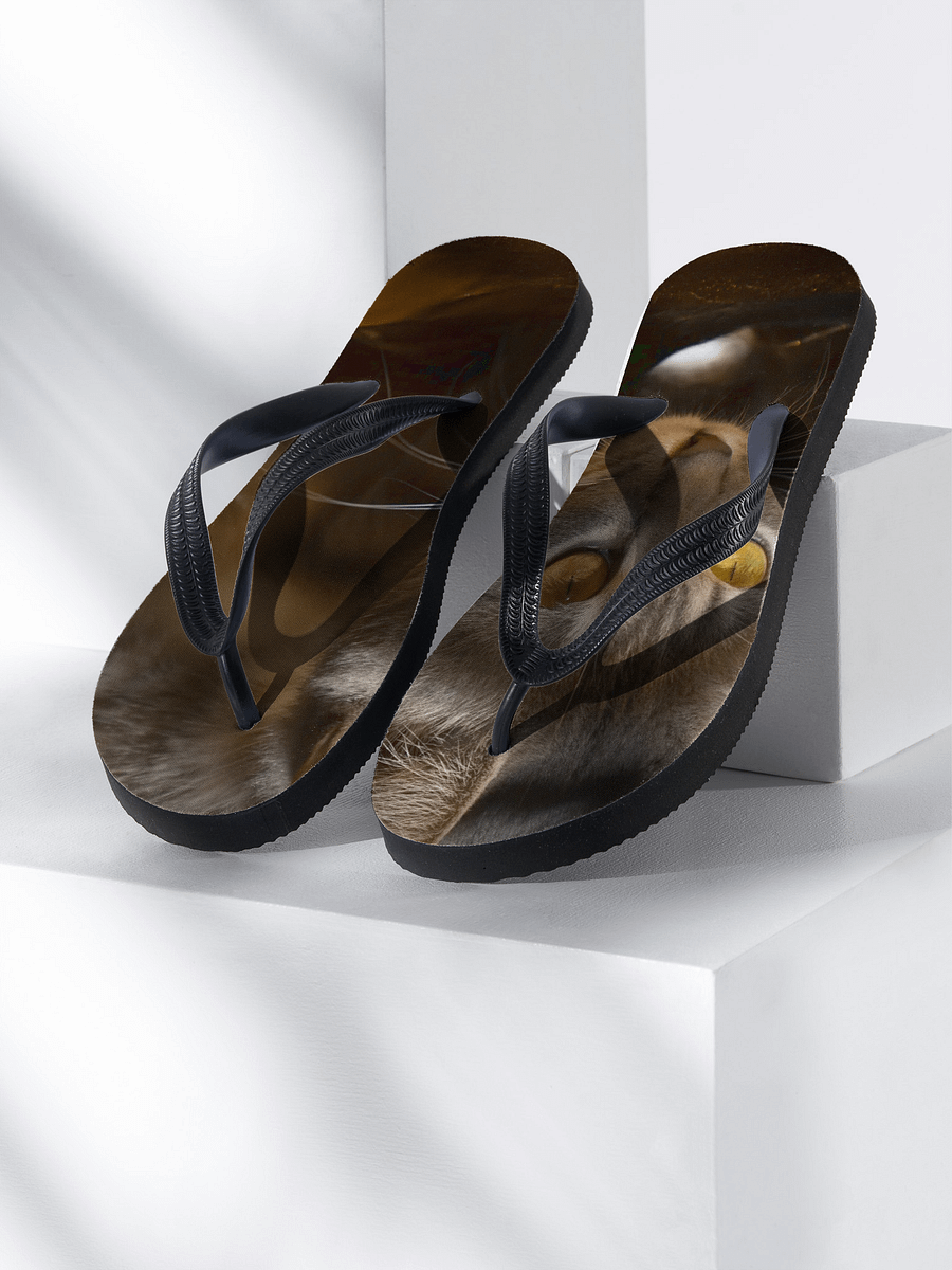 tabby Cat Eyes Flip-Flops product image (1)