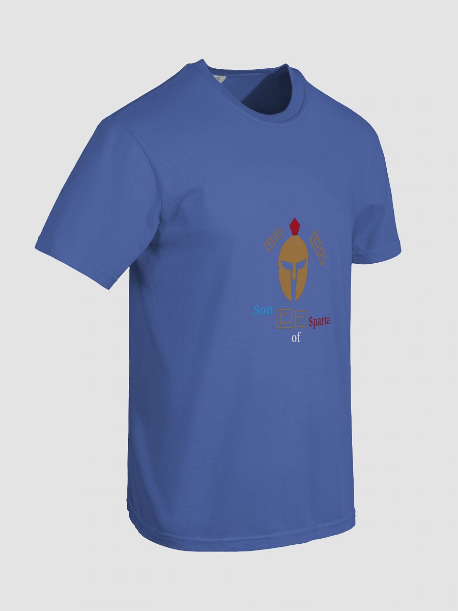 Spartan Crest Comfort Tee product image (8)