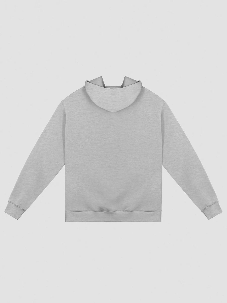 RUKKAZ EMBRODIER HOODIE product image (2)