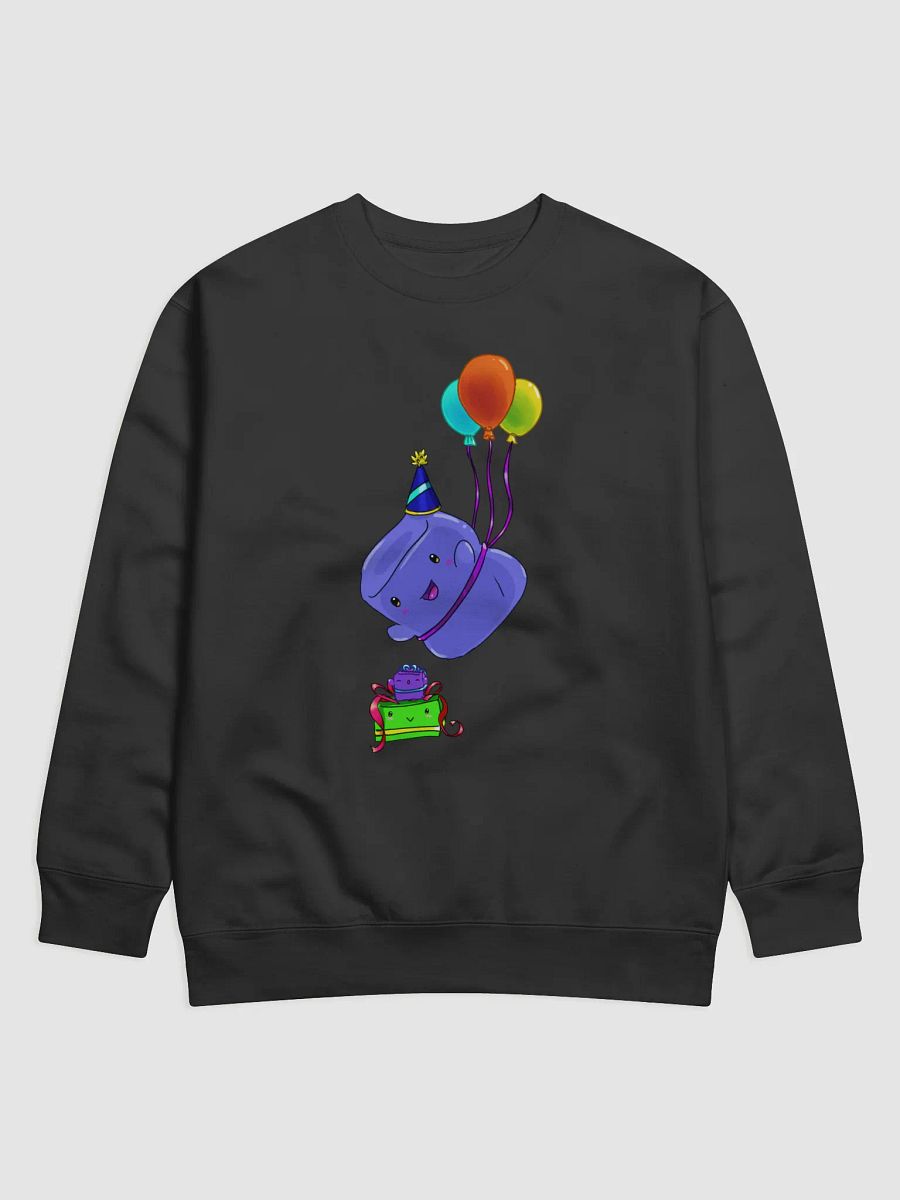 Bigsquish Birthday Jumper 2024 product image (1)