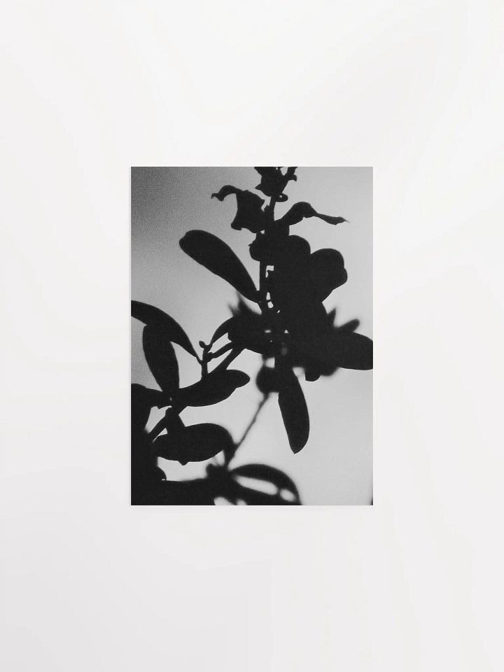 Black & White Plant Glow product image (1)