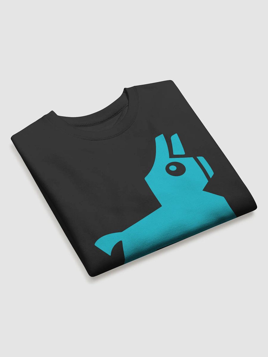 FNR Cotton Premium Sweatshirt product image (3)