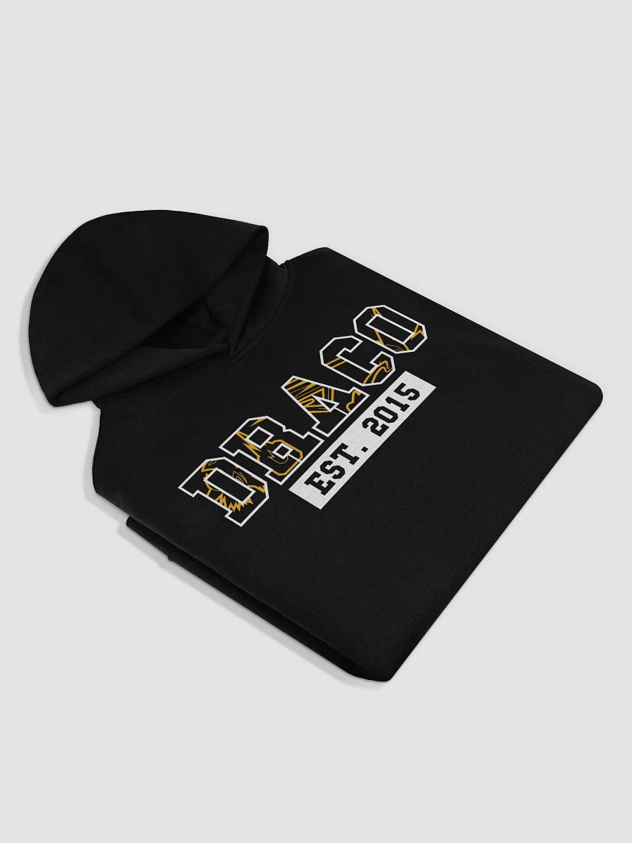 Dropa Draco Est. 2015 Premium Hoodie product image (5)