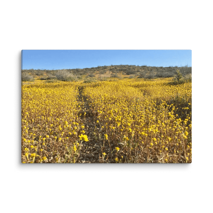 Canvas Print - Trail thru the Wildflowers product image (2)