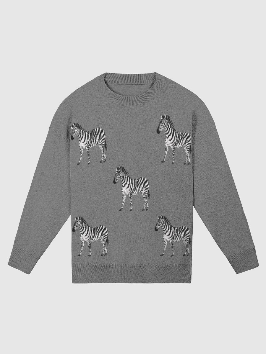 Zebra Dreamer Knit Sweater product image (4)