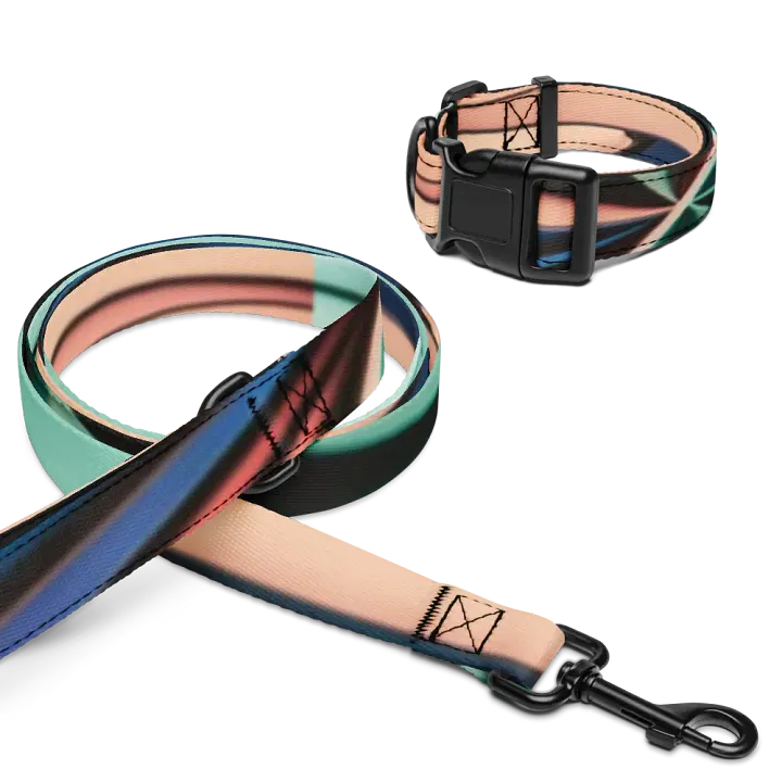 Harmonious Hues Pet Collar & Leash Set product image (1)
