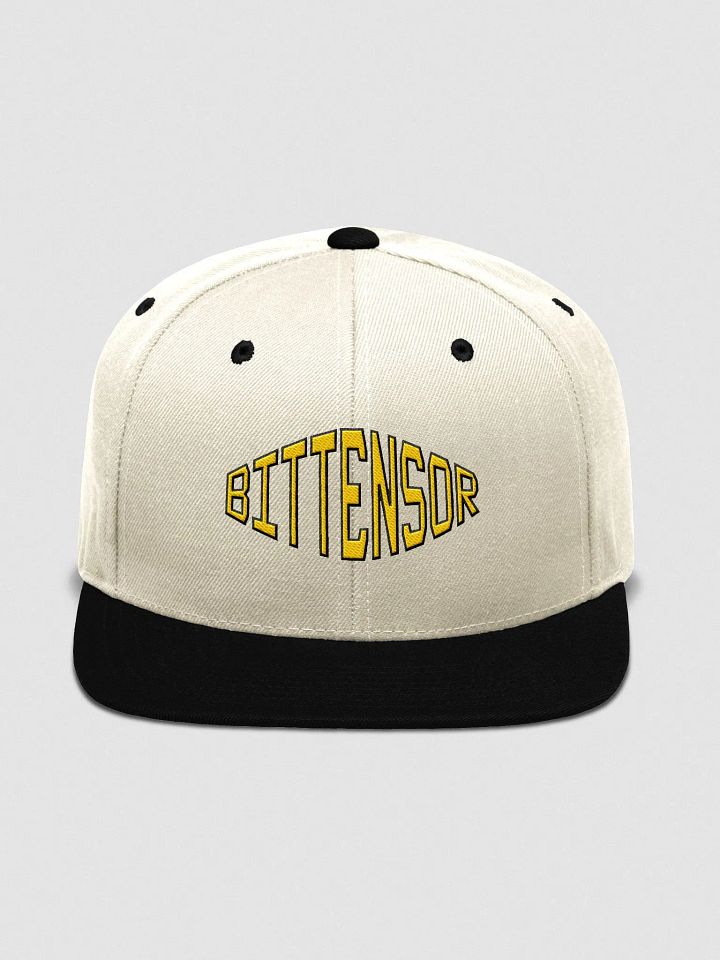 (5/20) Bittensor Cap product image (1)