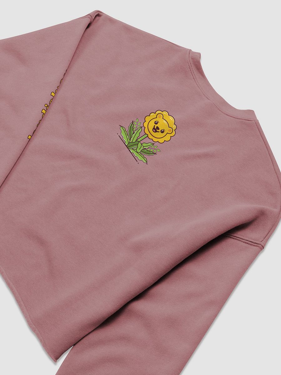 dandielyon cropped sweatshirt product image (40)