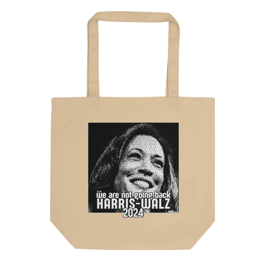 HARRIS-WALZ 2024 WE ARE NOT GOING BACK product image (1)