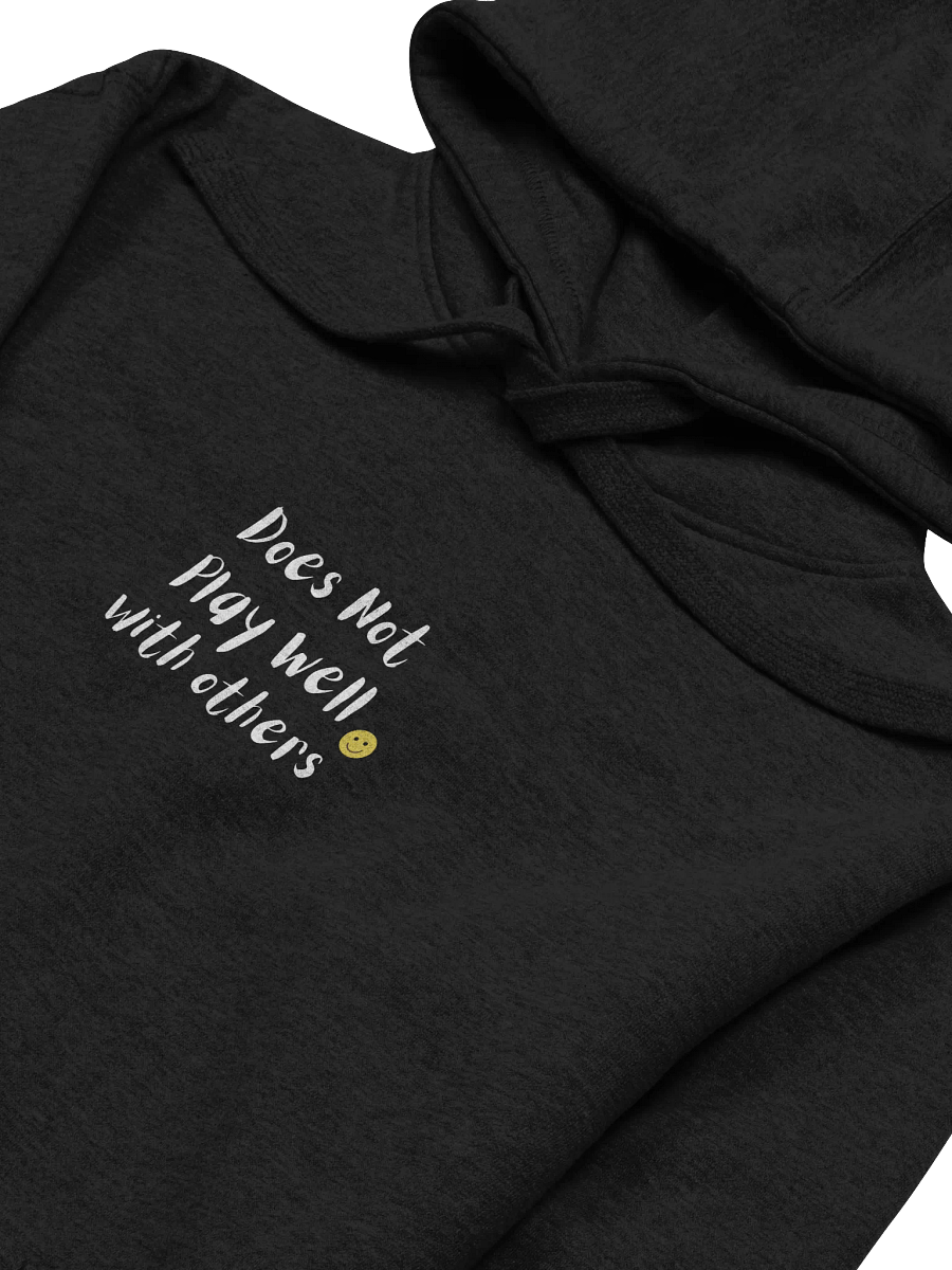 Does Not Play Well with Others Unisex Hoodie product image (3)