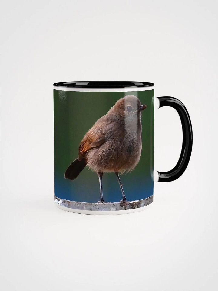 IUCAA Birds MUG product image (1)