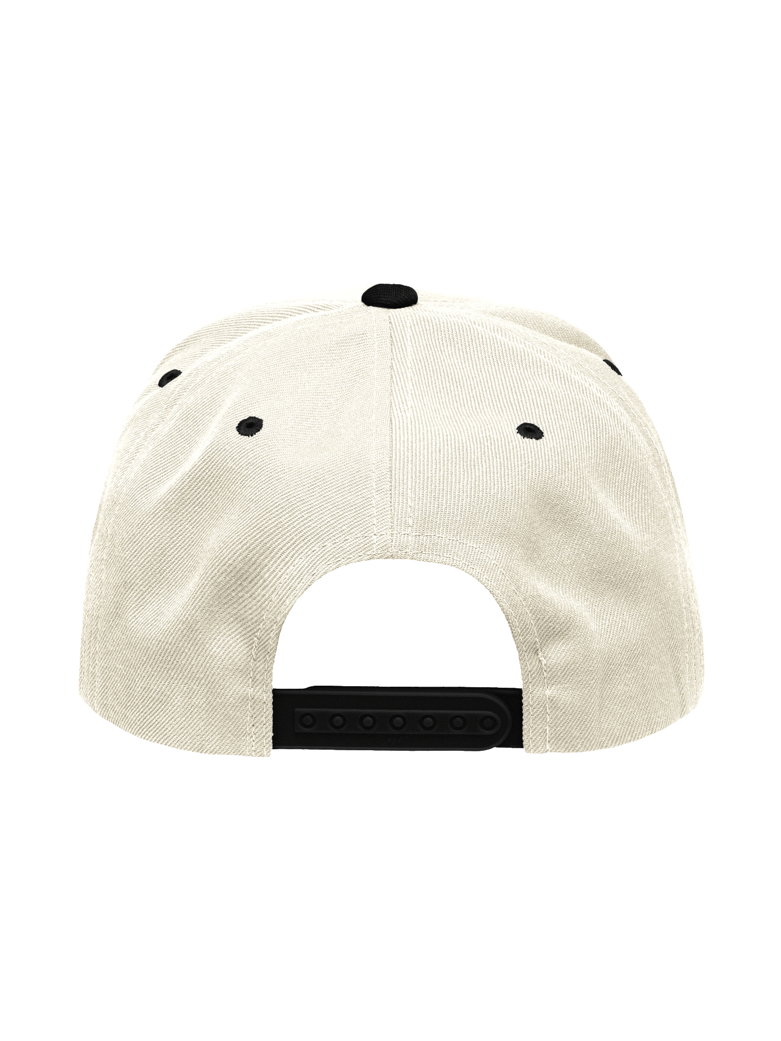 BHW Snapback product image (4)