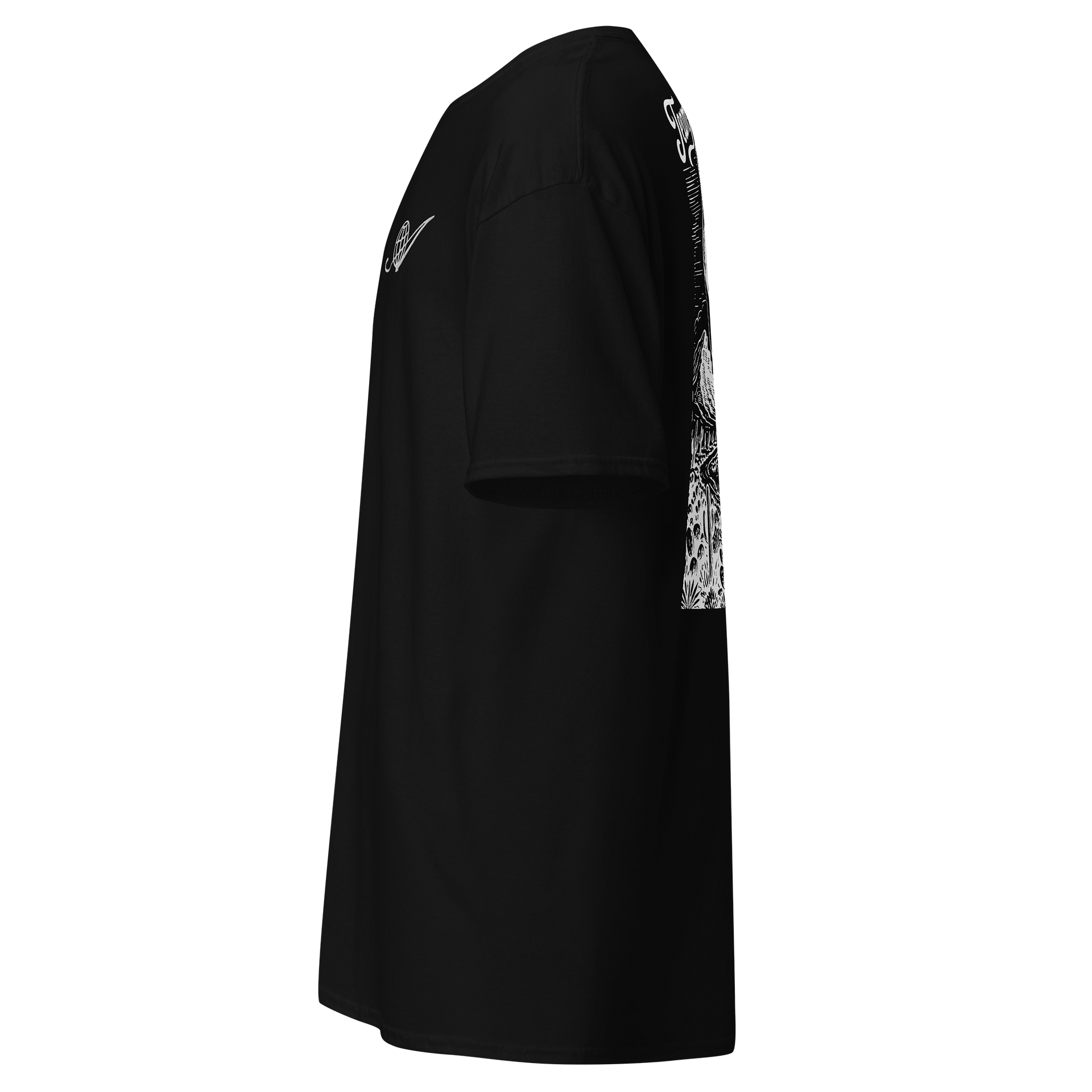 Team Aerostatic Tee product image (14)