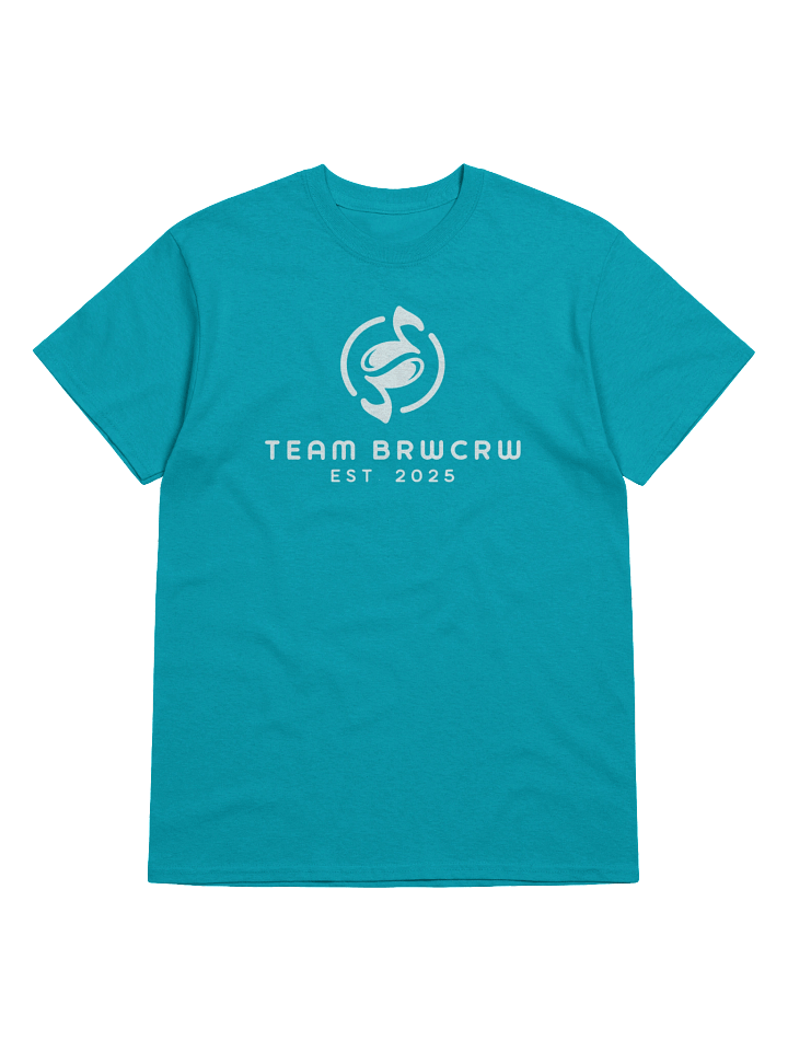 Team BRWCRW Est. 2025 T-shirt product image (9)