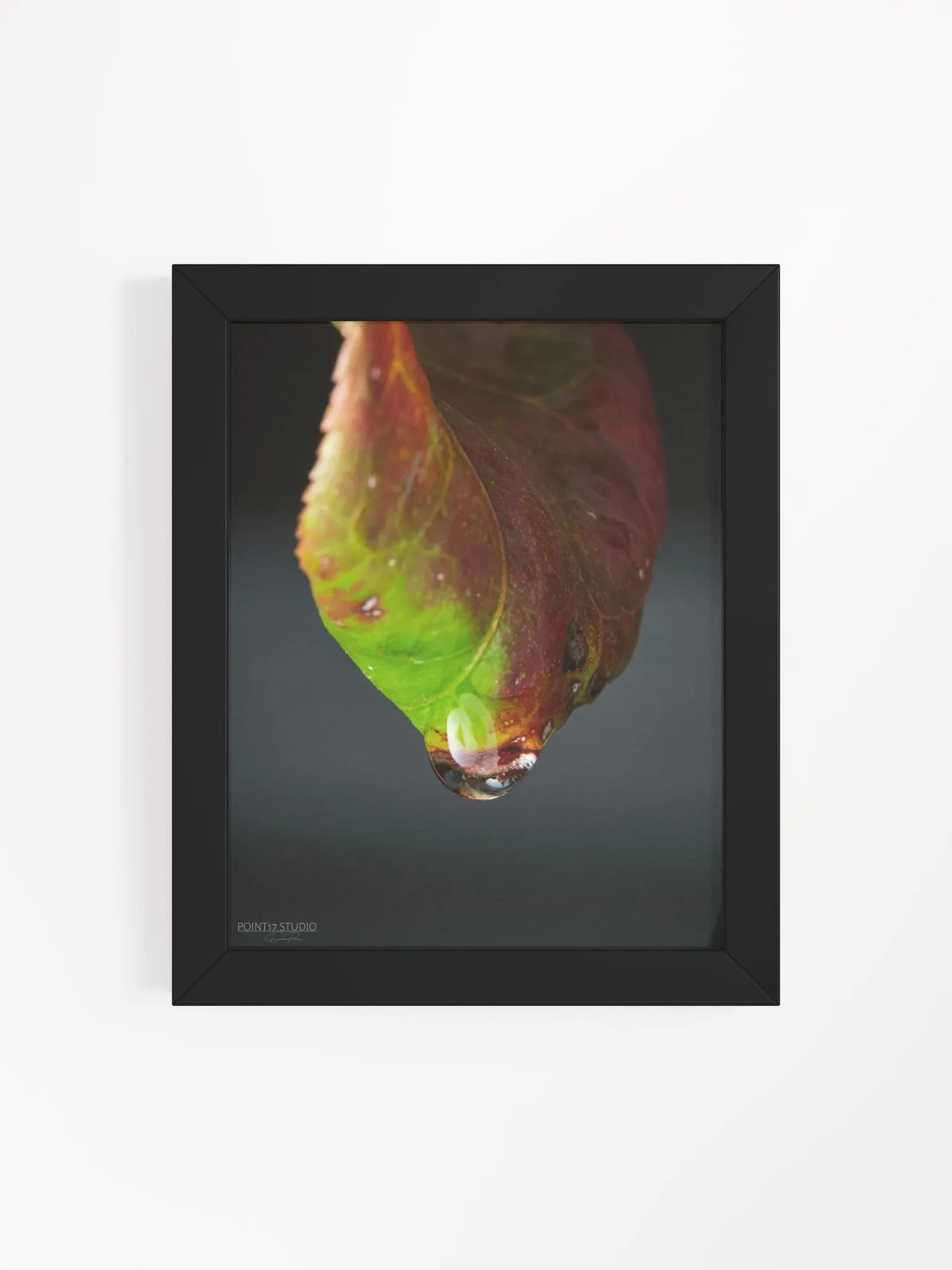Crystal Drop - Framed Poster product image (1)