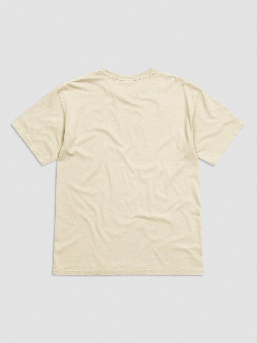 'Sexy, Broke, and Legally Questionable' Embroidered Tee product image (2)