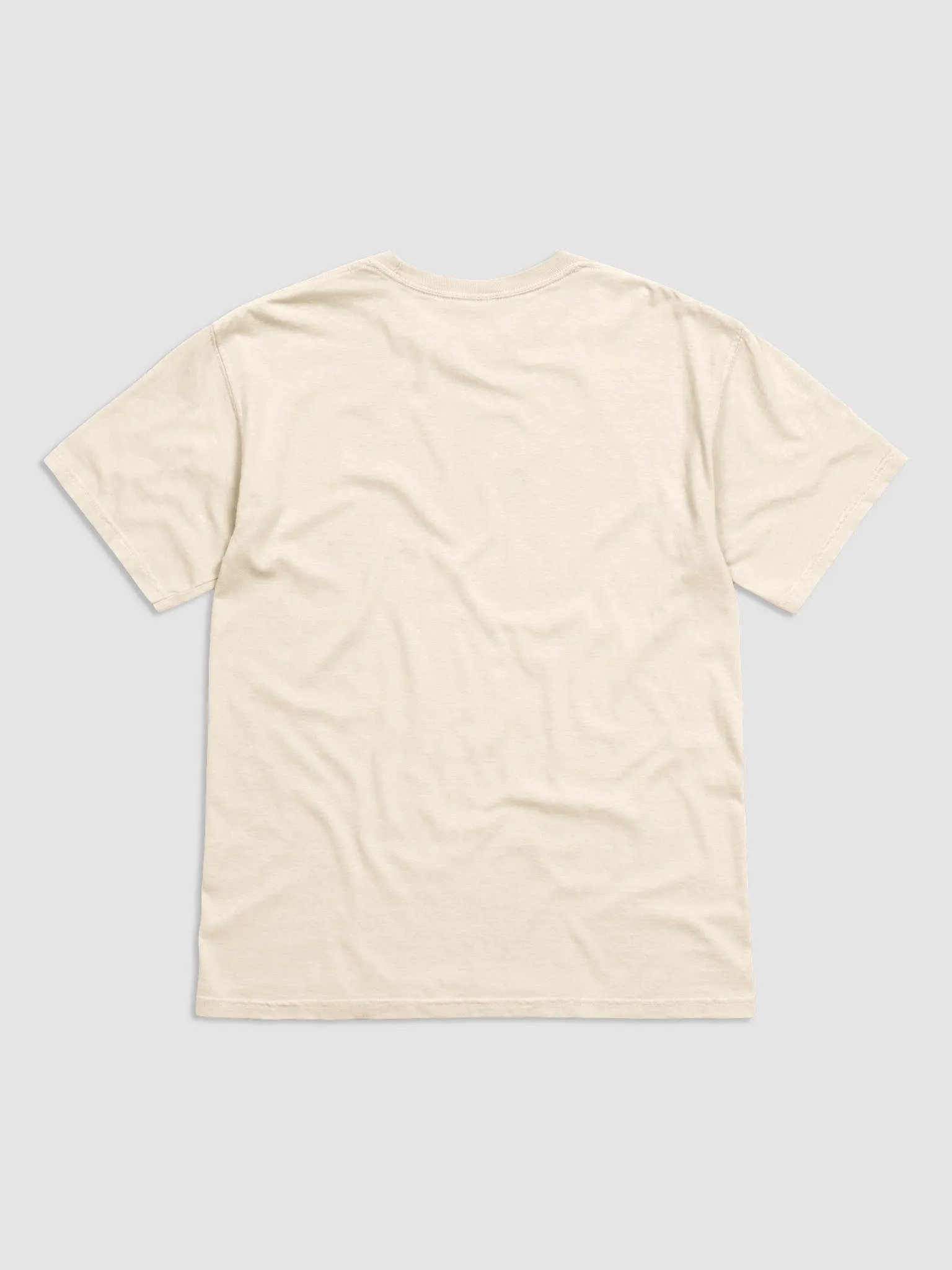 SMALL BALL NET TEE (BLACK FONT) product image (2)