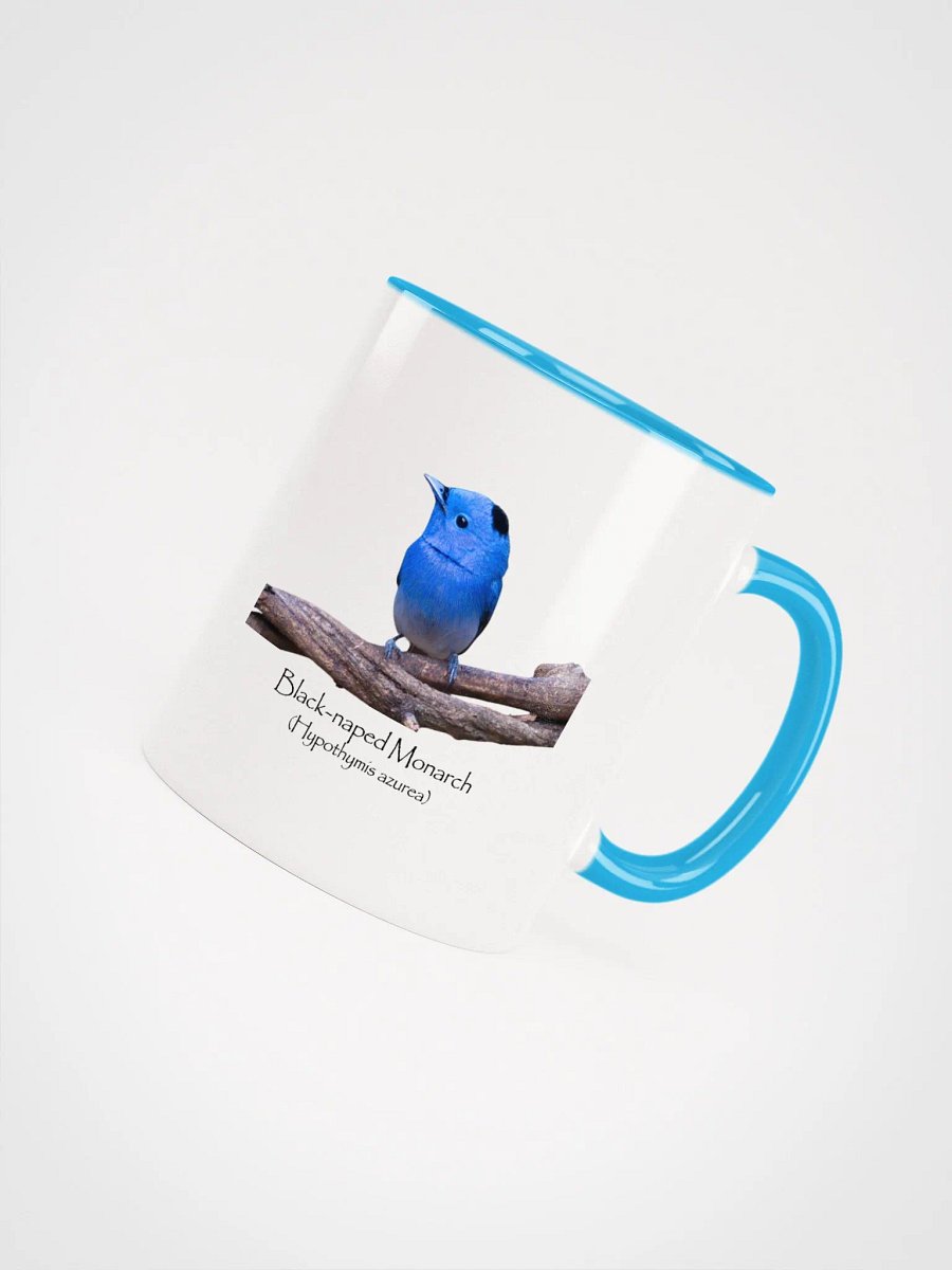 Black-naped Monarch. mug product image (4)
