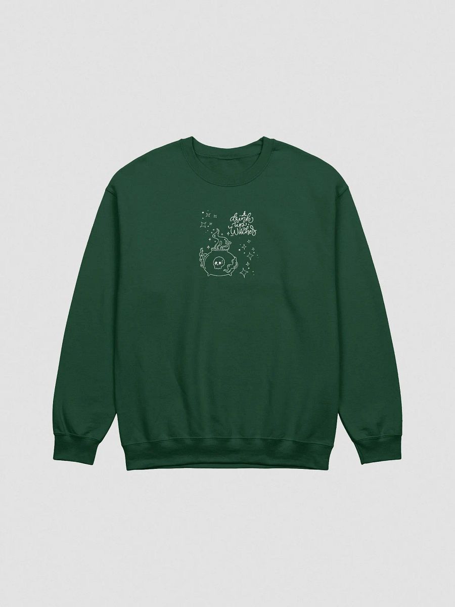 Witches Brew Embroidered Crew Neck product image (5)