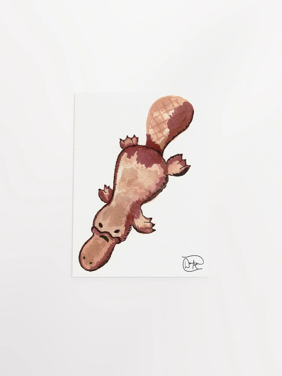 Platypus #66768 Watercolour Print product image (4)