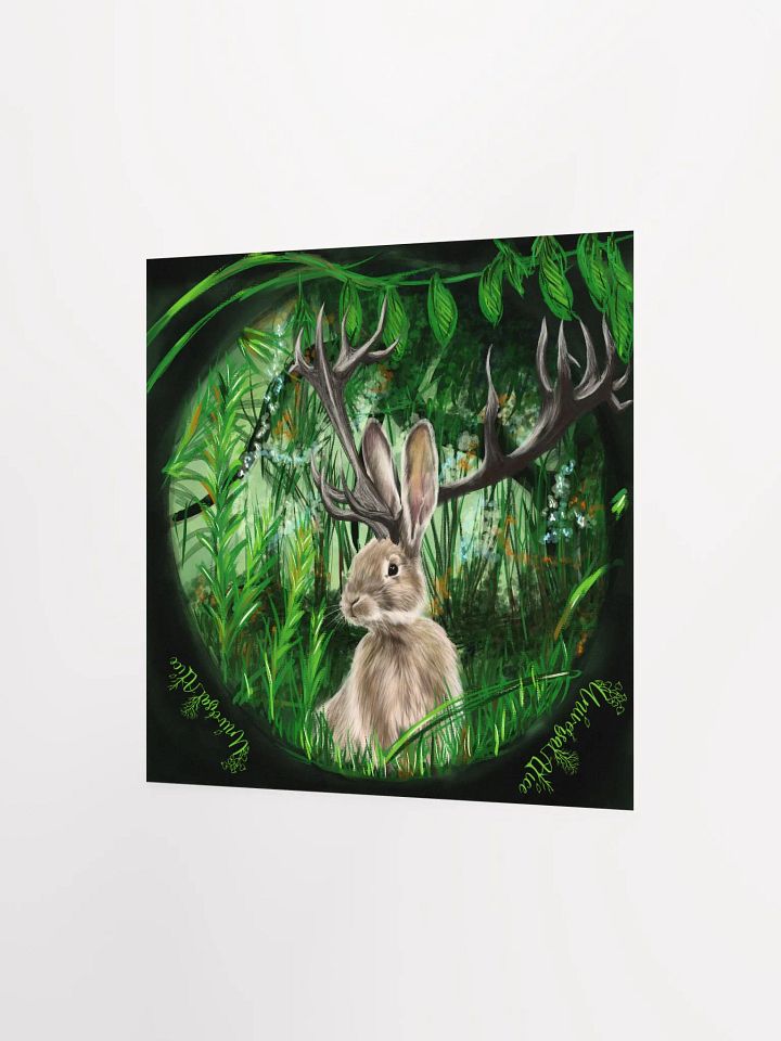 Jackalope product image (8)