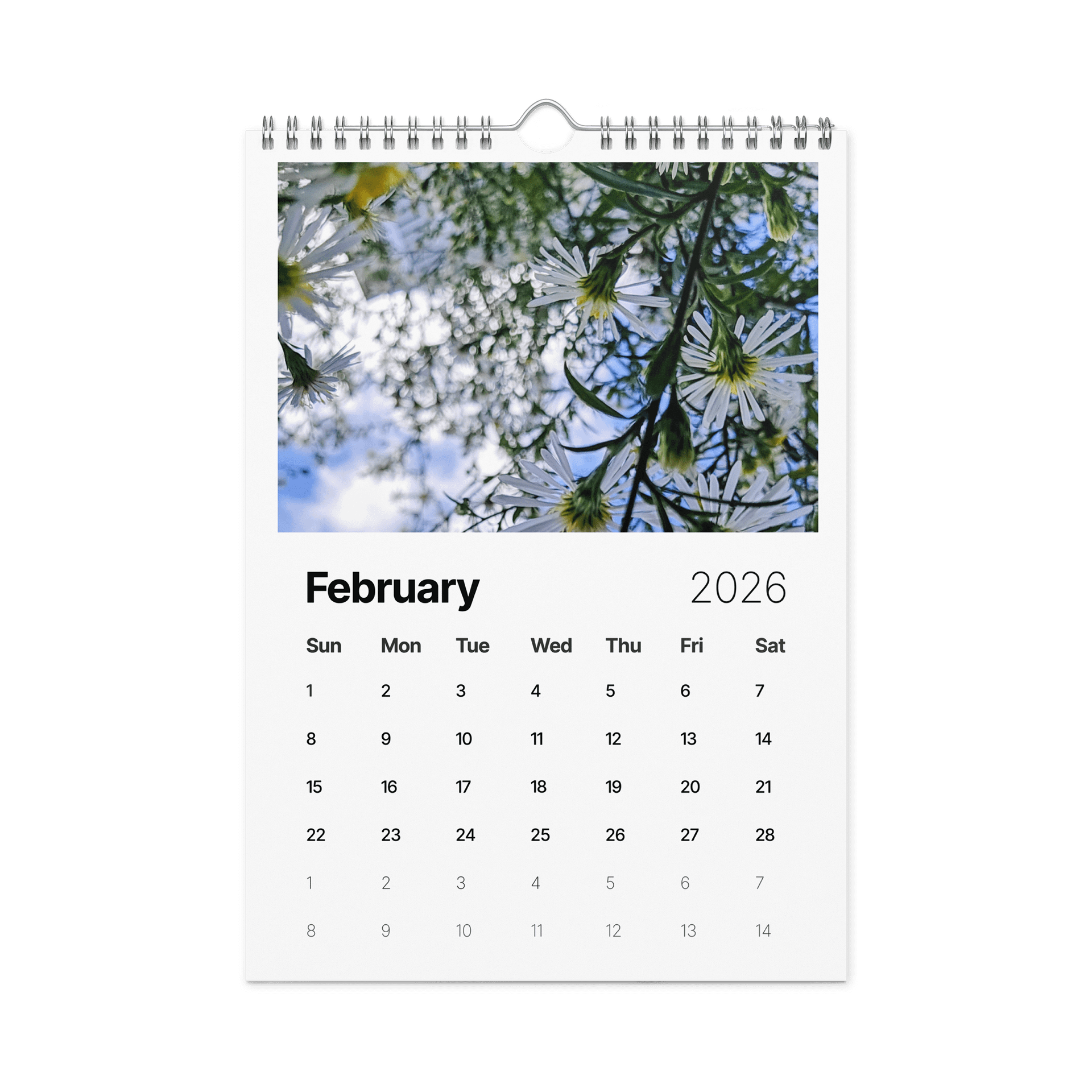 Canopy of Time: 2026 Wall Calendar product image (2)