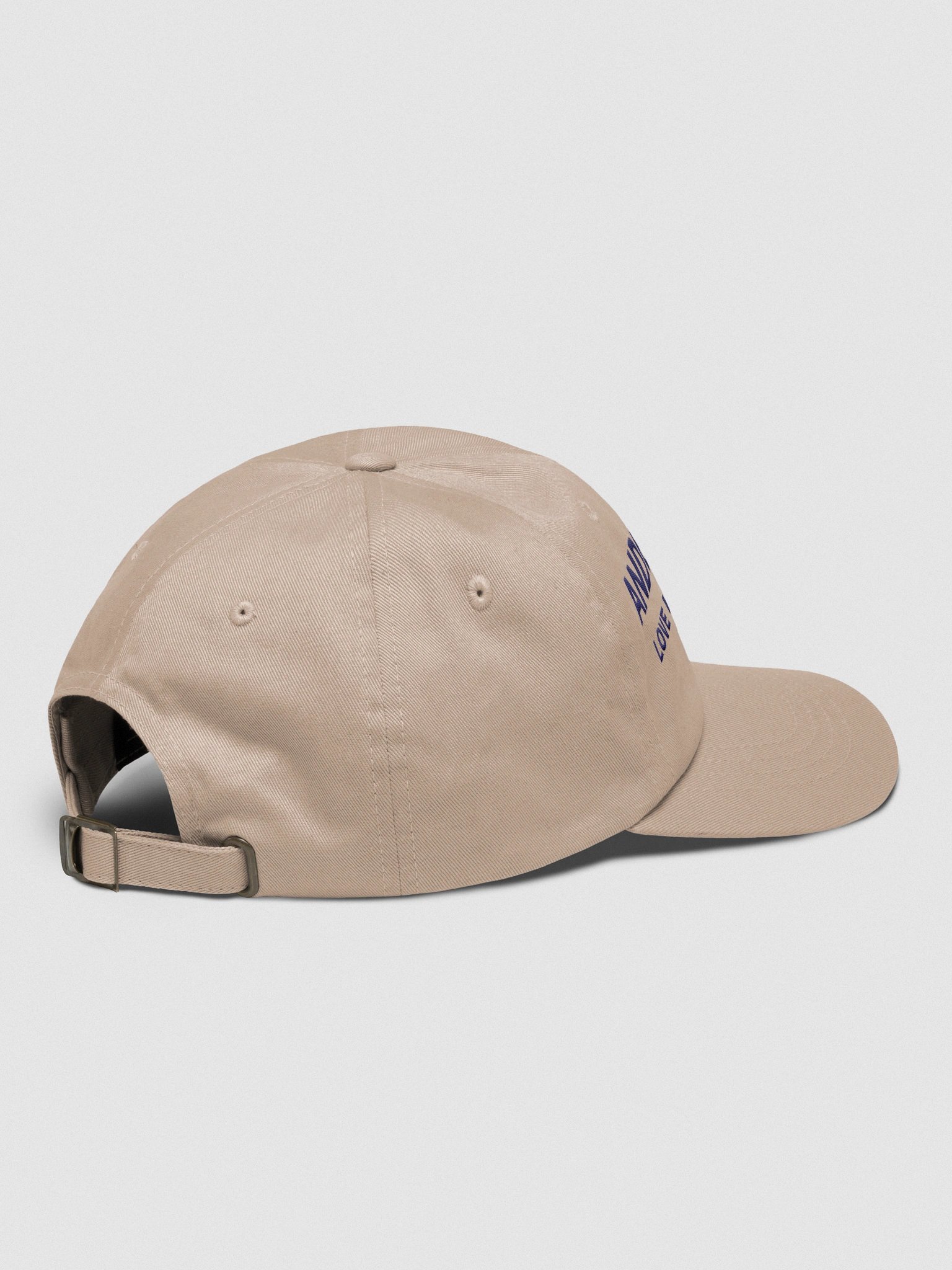 Anderson County Democrats Logo Dad Cap – Light product image (4)