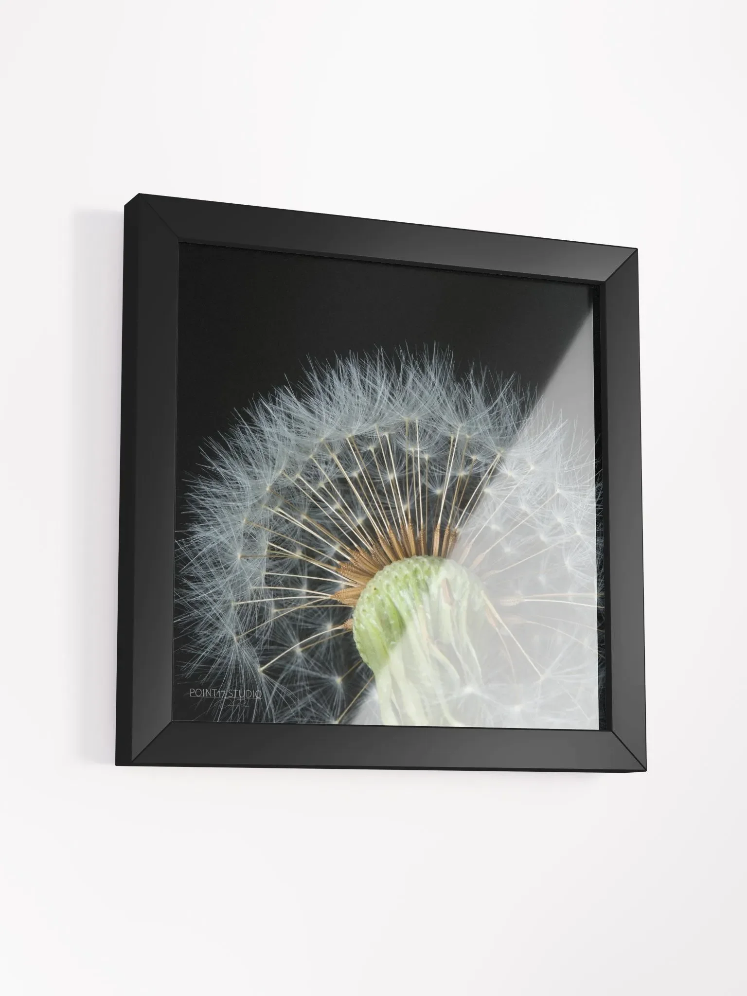 Dandelion #4 - Framed Print product image (3)