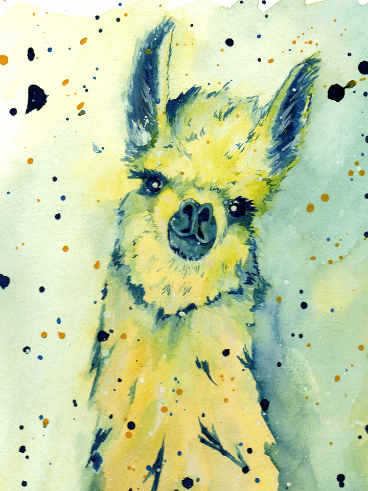 Llama Moments product image (2)