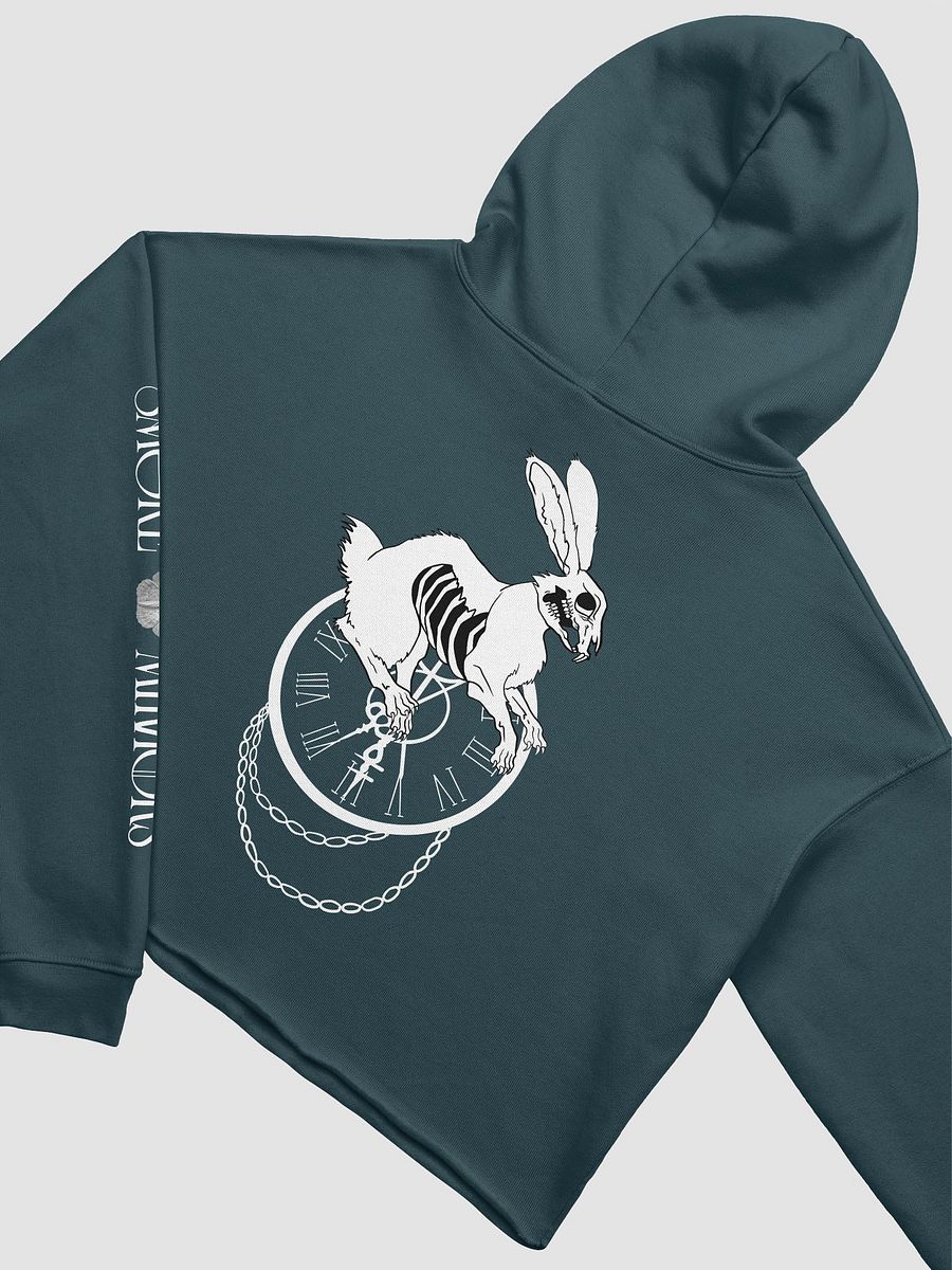 White Rabbit's Curse Crop Hoodie product image (23)