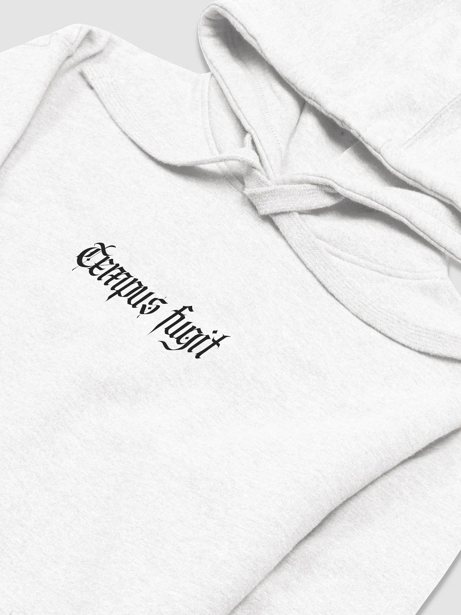 Tempus Fugit Hoodie Bright product image (7)