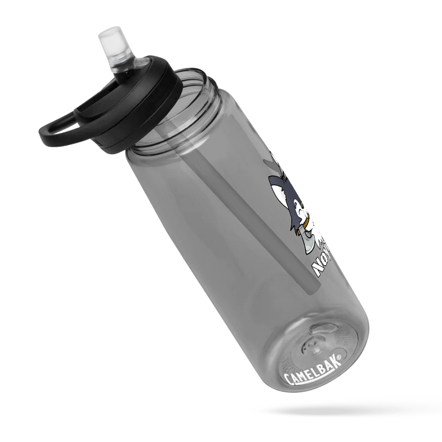 The Amadeus Raider Camelbak Water Bottle product image (24)
