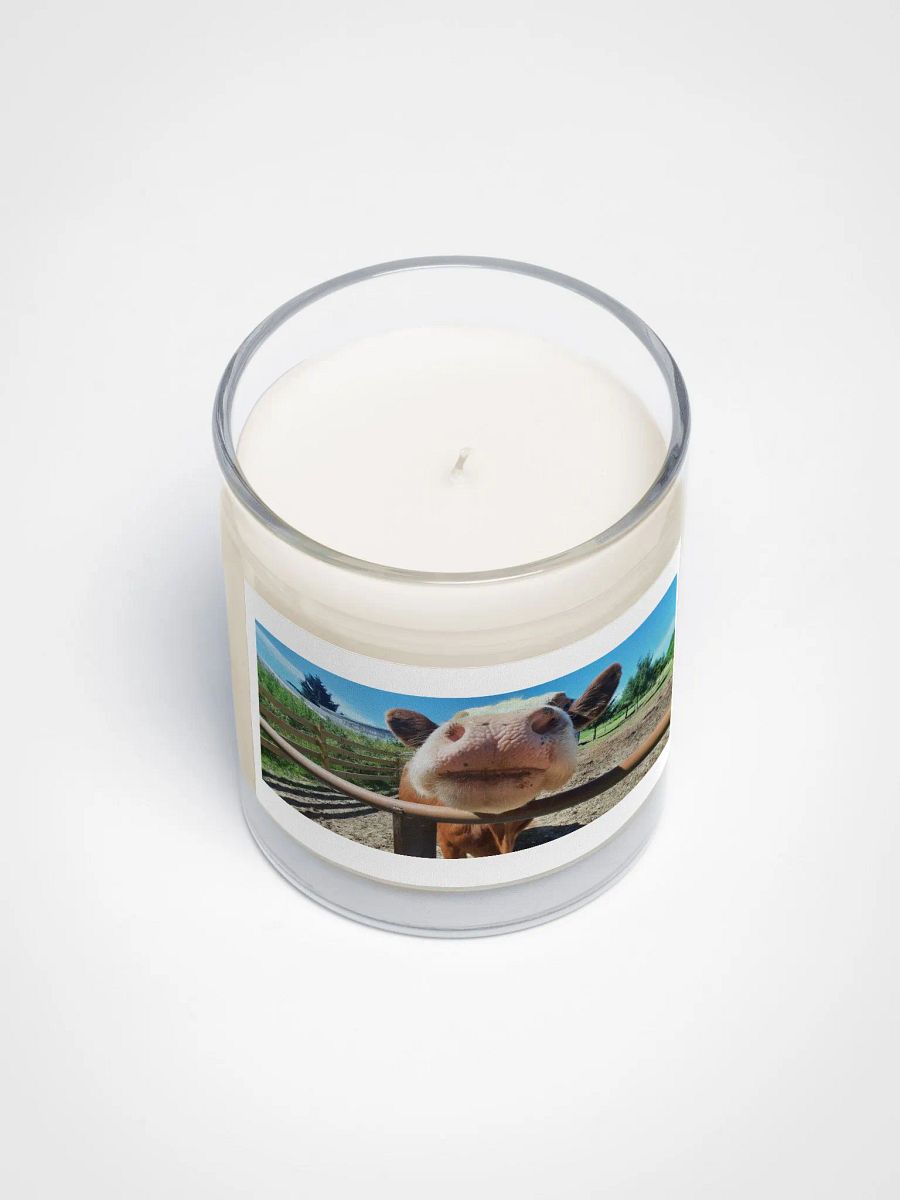 Nosey Cow Soy Wax Candle product image (3)